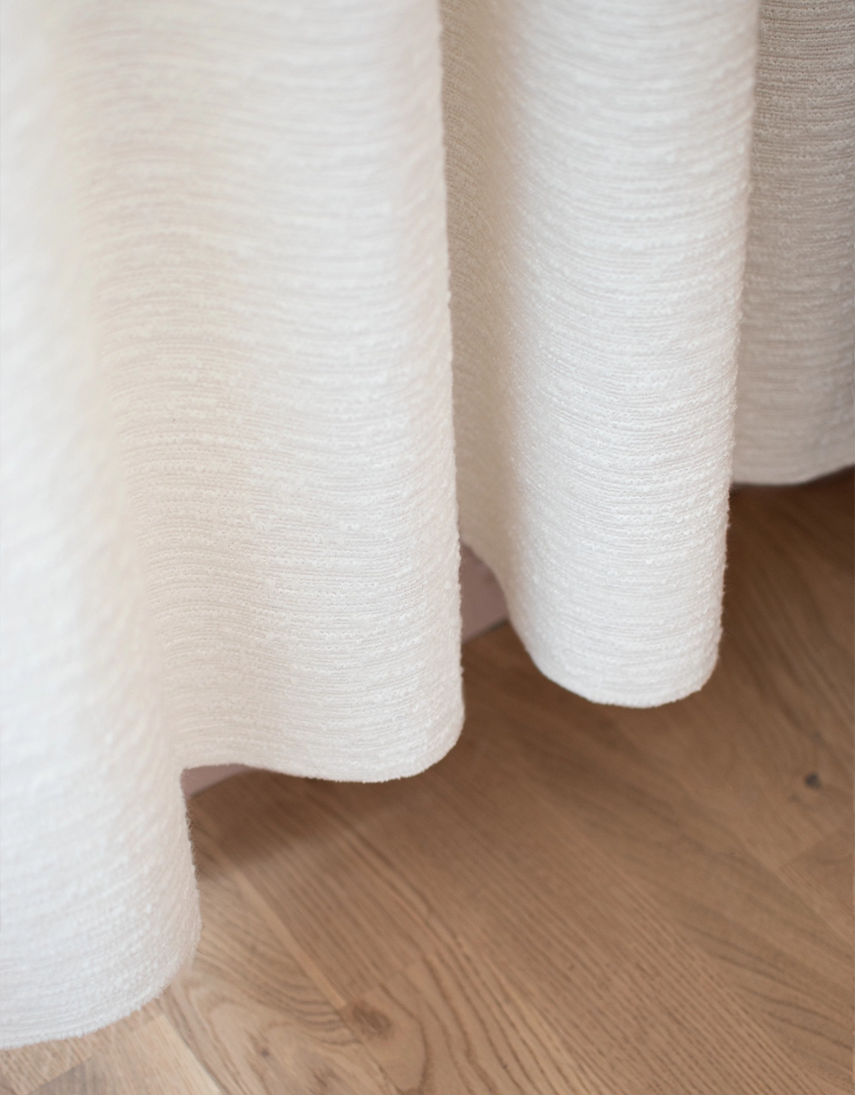 Vit bouclégardin, fåll