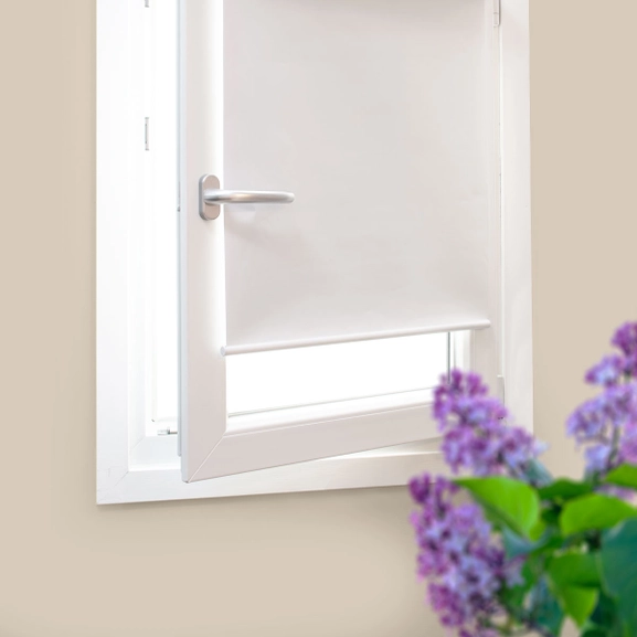 rullgaridn-fusion-vit