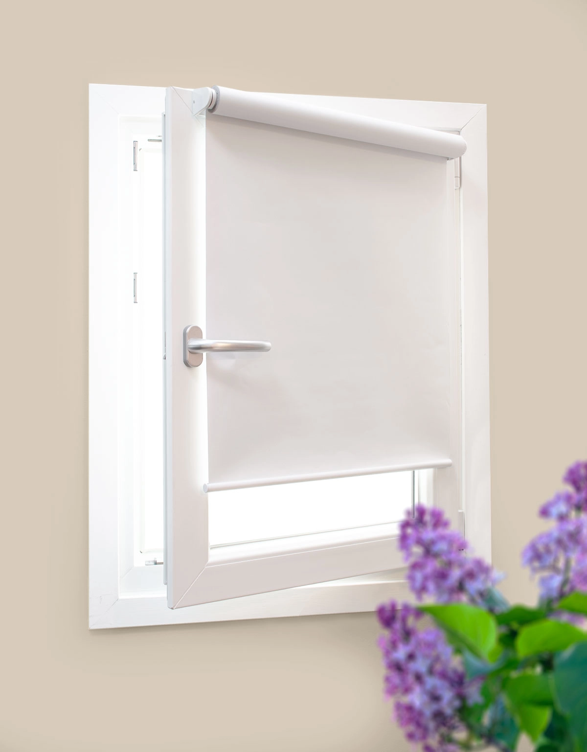 rullgaridn-fusion-vit