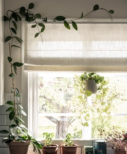 Hissgardin Lina, vit