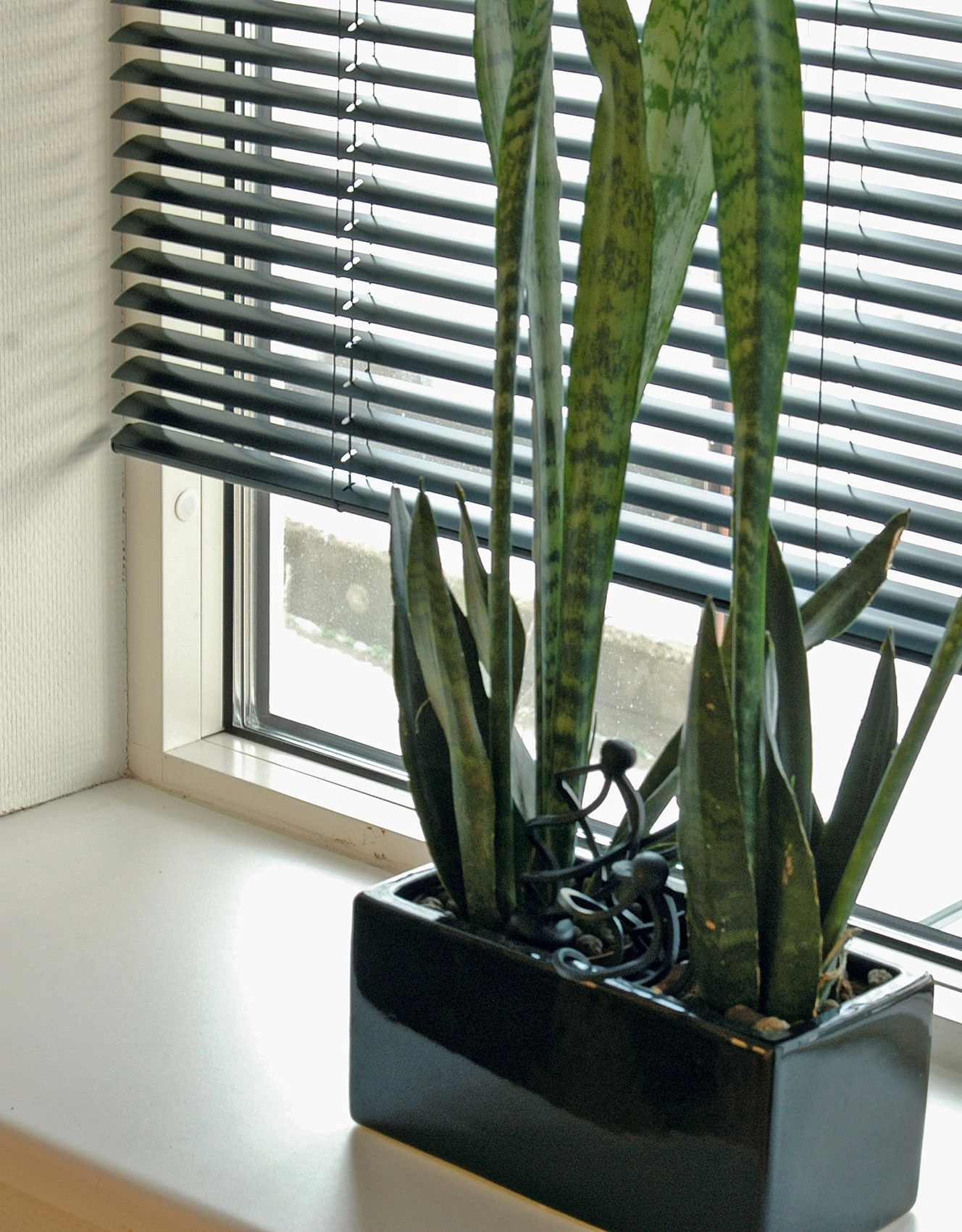 Venetian blind black alu from Hasta