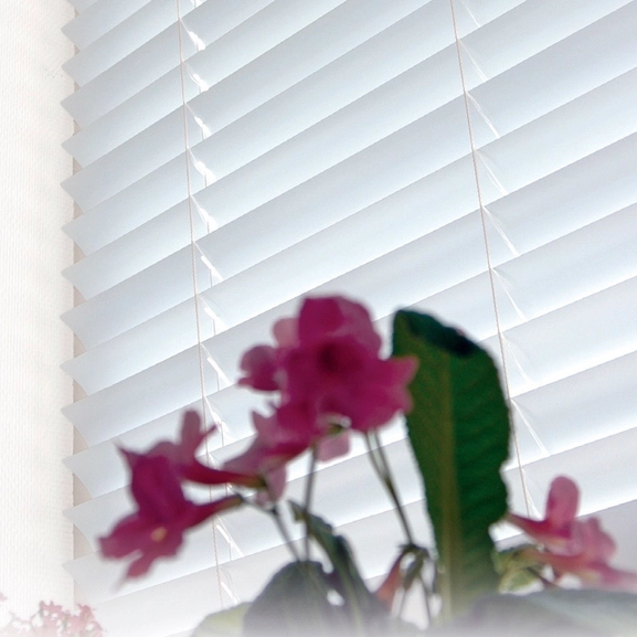 Venetian blind white or silver, alu 50 mm