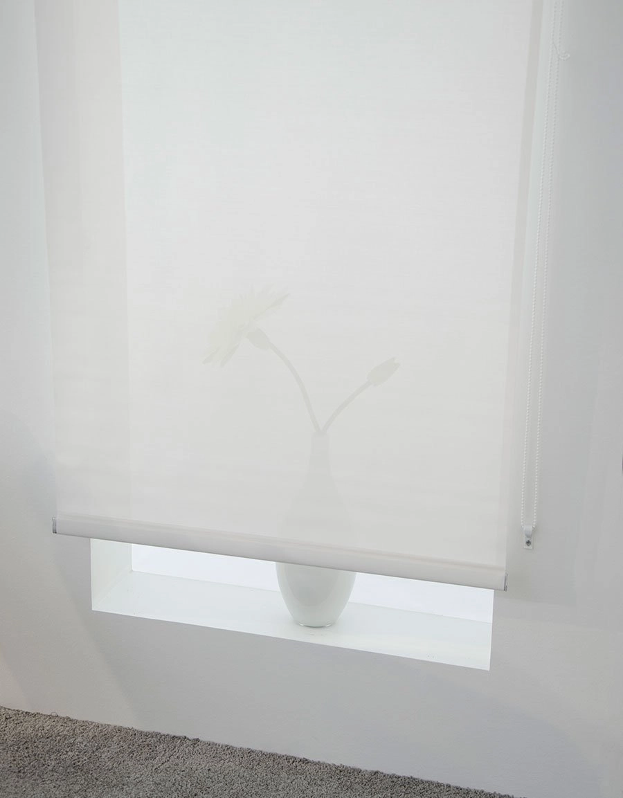 Screen roller blind white transparent