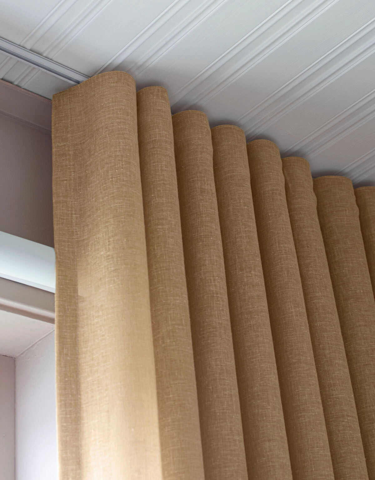 Senapsgul, skir gardin