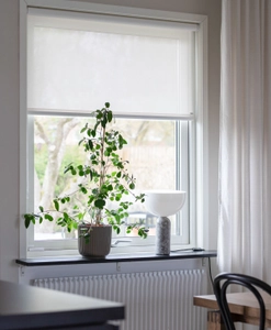 Skruvfri rullgardin i vit screenväv