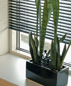 Persienn svart alu från Hasta