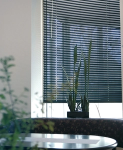 Venetian blind alu black from Hasta