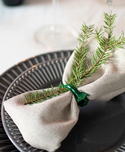 Servettring och dekorklämma, grön