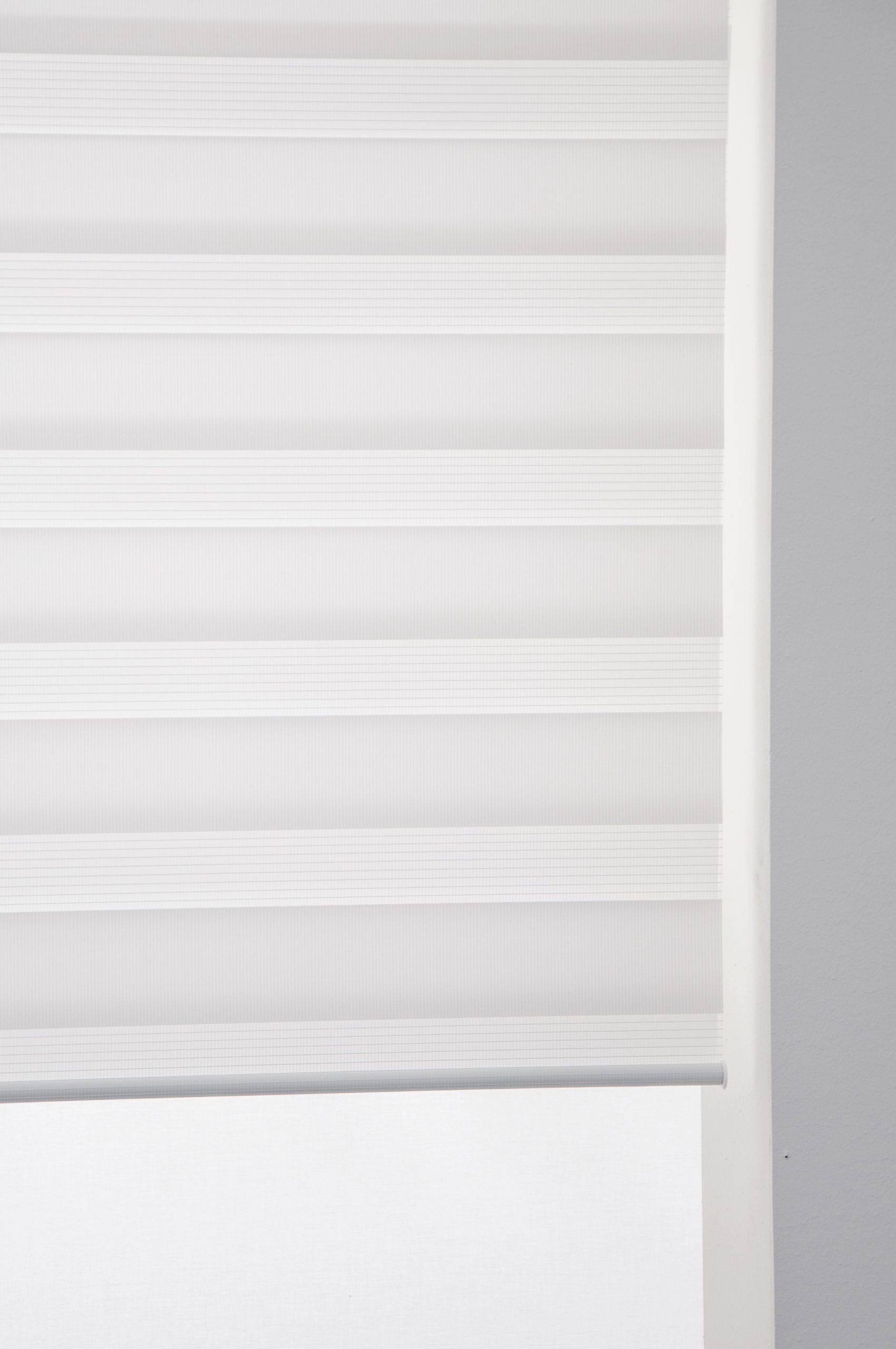 Roller blind Day&Night white Hasta