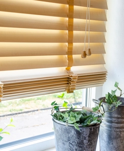 Träpersienn, lamellbredd 50 mm, natur