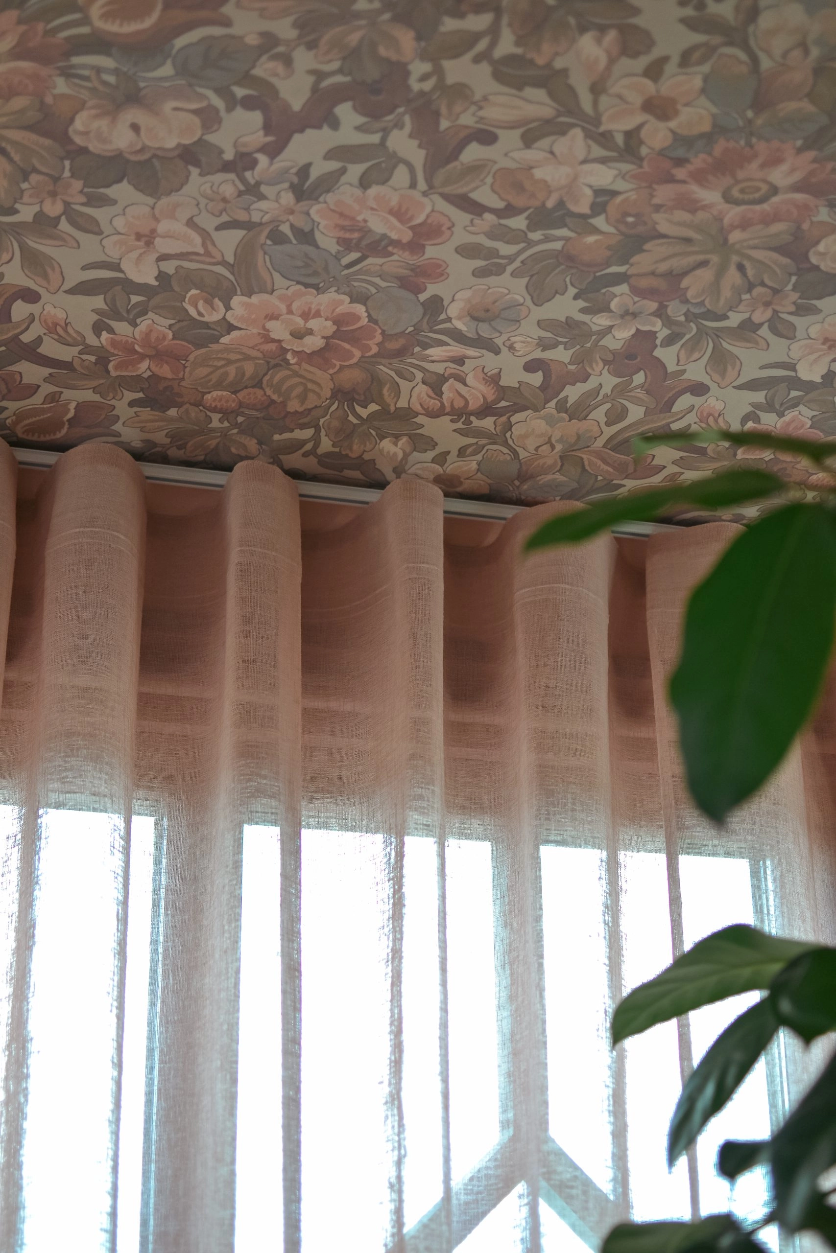 Närbild Gardin Malva i dimrosa