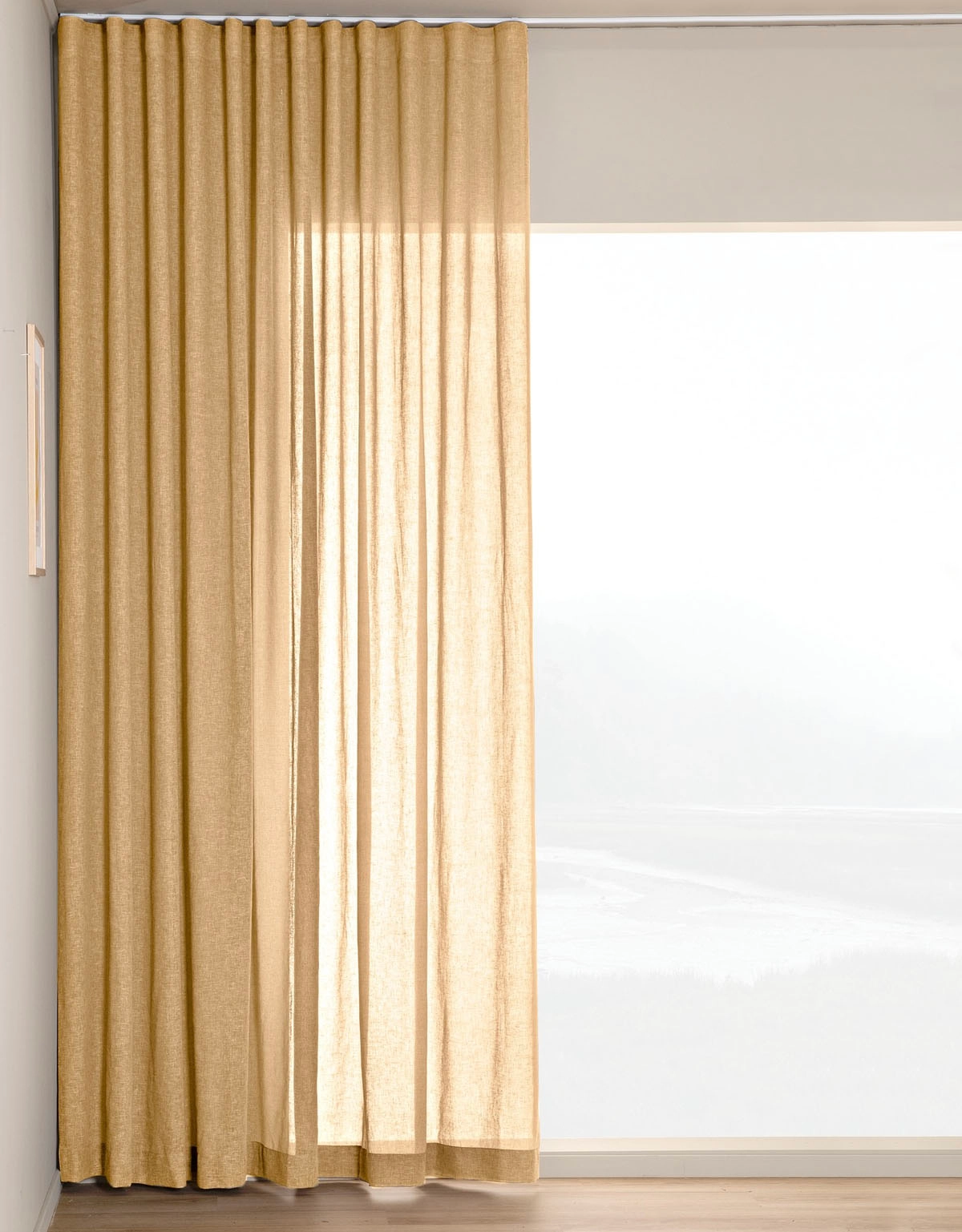 Senapsgul, skir gardin