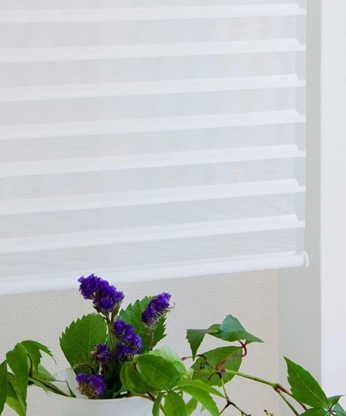 Daybreak roller blind Hasta