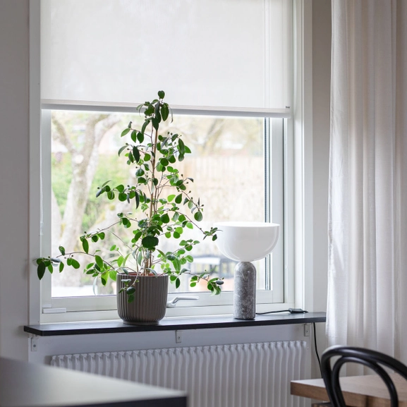 Skruvfri rullgardin i vit screenväv