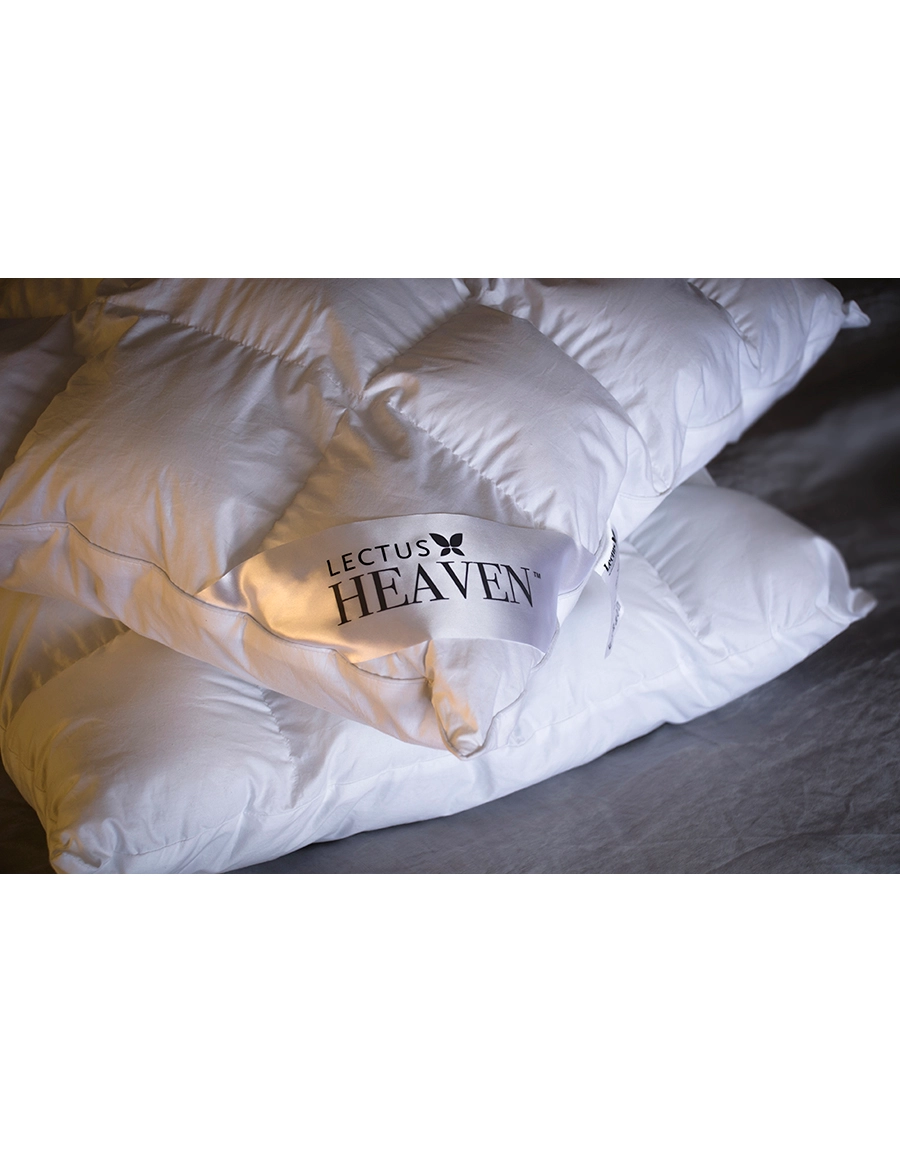 Lectus Heaven pillow