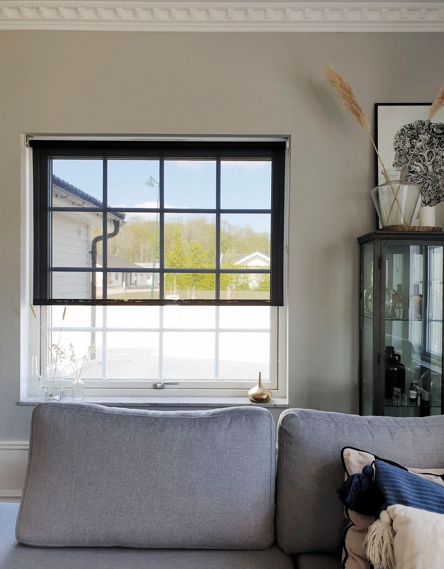 Screen roller blind, black